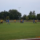 plewis 13